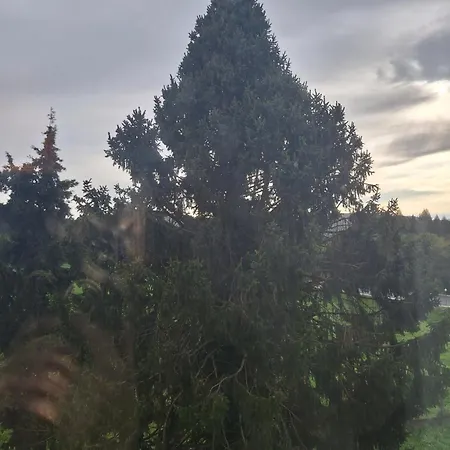 Hermoso Apartamento En El Centro De Galicia Διαμέρισμα Bandeira