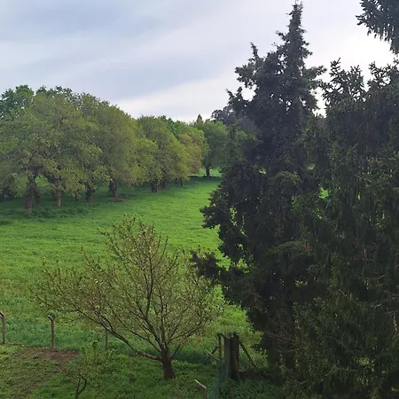 Hermoso Apartamento En El Centro De Galicia